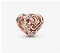 Charm Pandora Donna Pandora Moments in Lega metallica 789270C01 - 789270C01